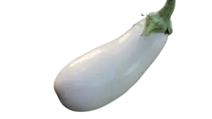 Aubergine Clara