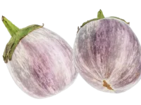 Aubergine Ronde Rosa Bianca