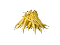 Haricot Nain Beurre Dior