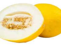 Melon Mozia