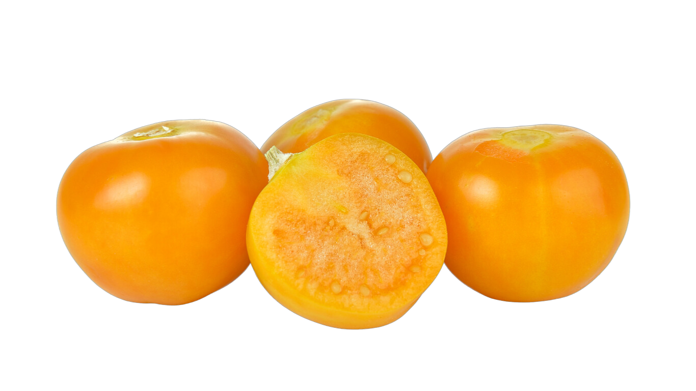 Tomate Ochsenherz Orange