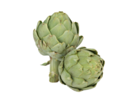 Artichaut Imperial Star