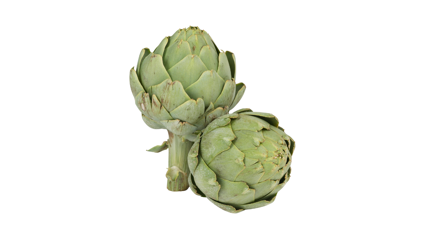 Artichaut Imperial Star