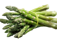 Asperge