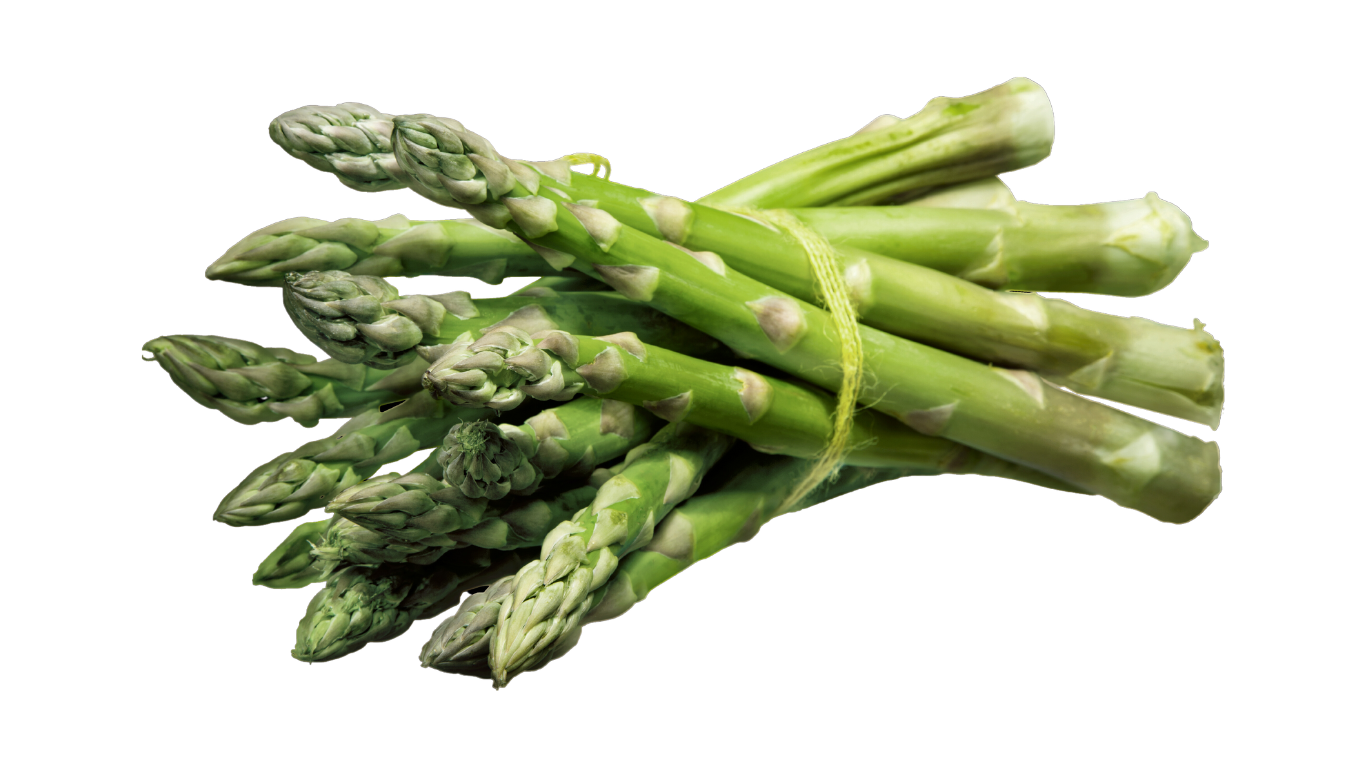 Asperge