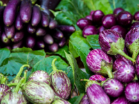 Aubergines