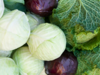 Choux