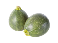 Courgette Géode Ronde