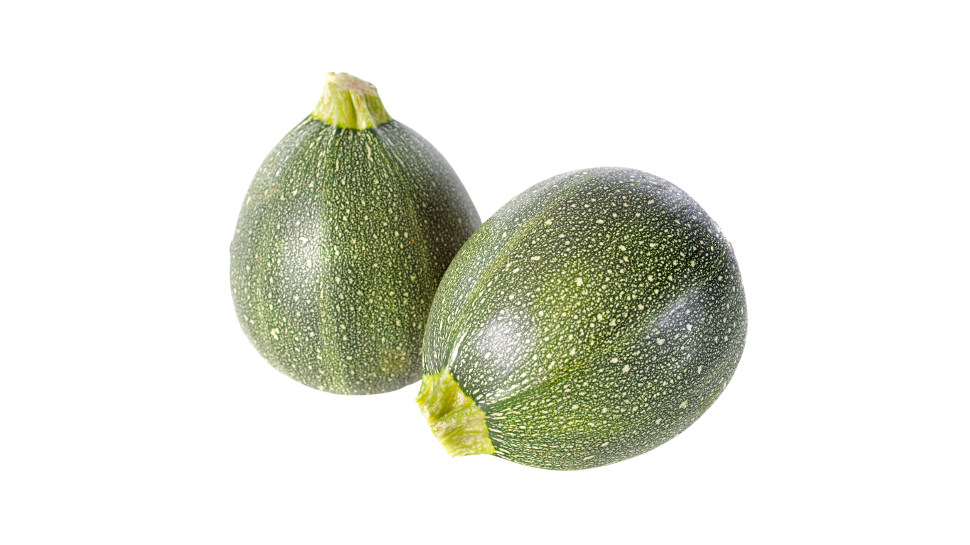 Courgette Géode Ronde