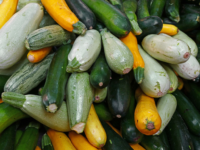 Courgettes