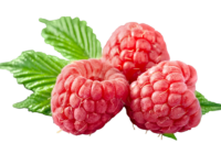 Framboise Rouge