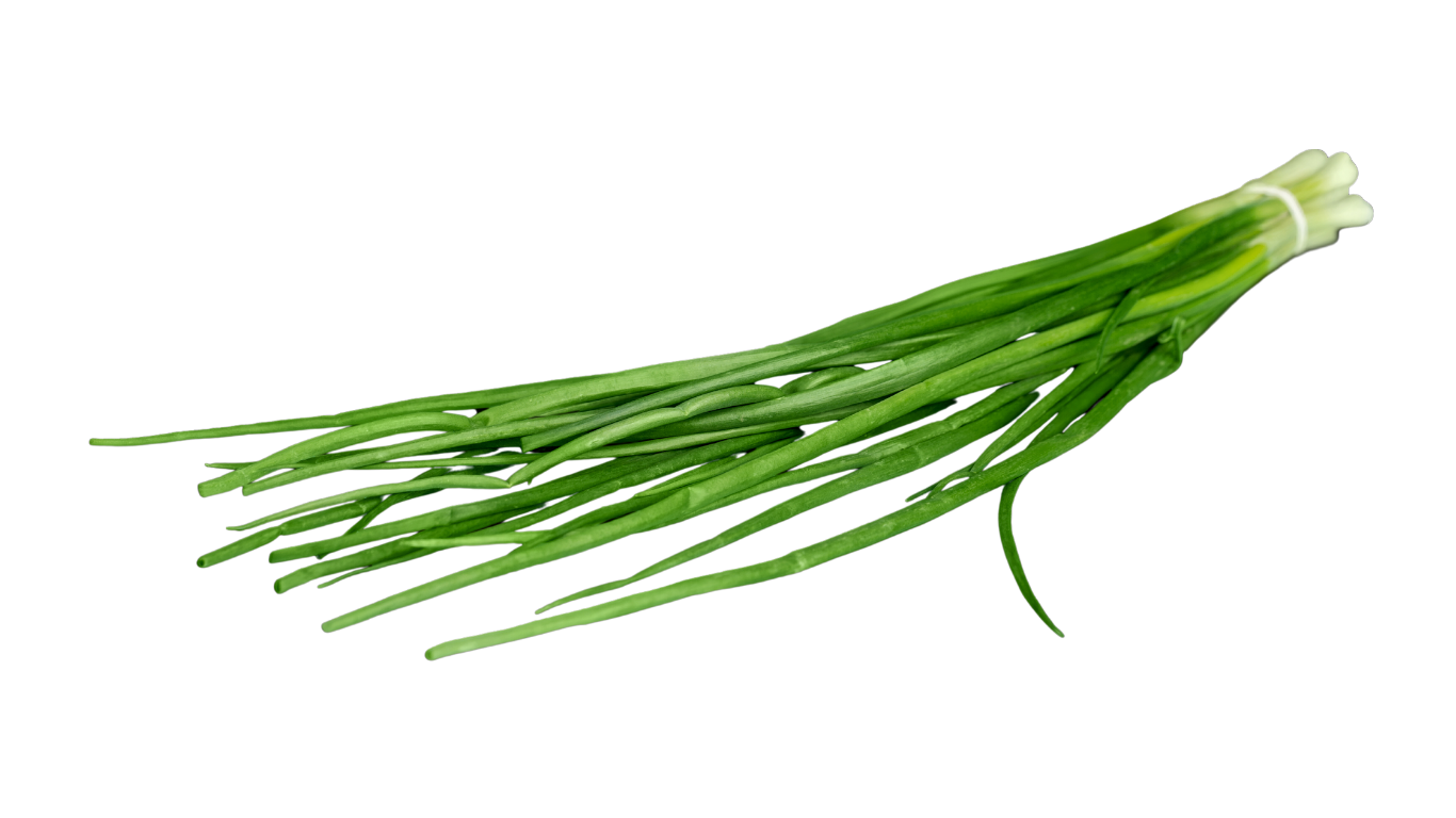 Oignon Ciboule Parade