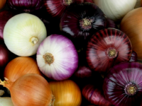 Oignons